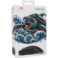 TURTLE-B (8).jpg