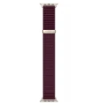 Pasek Tech Protect NylonLoop do Apple Watch 44/45/46/49 mm, burgundowy (4/7)