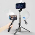 bizon-selfiestick-lamp-012.jpg