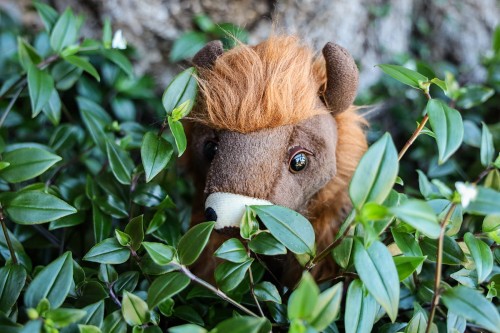 bizon-plush-toy-07.jpg