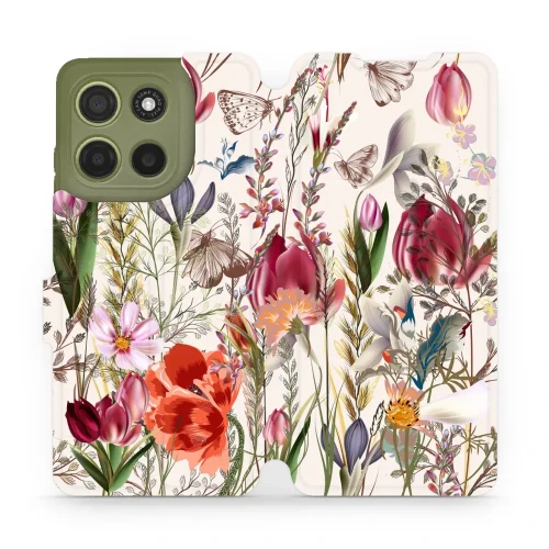 86c7cbed74142e57e05736d02cc25126