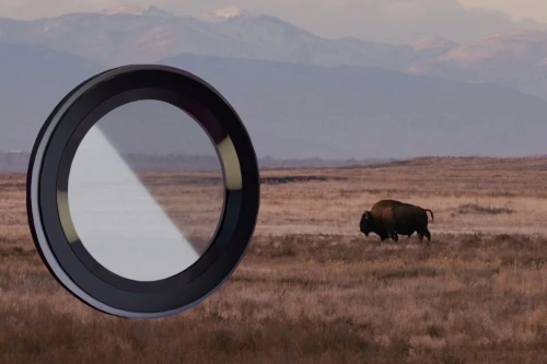 66b2c12b94722b6b5dc362f3acc2e709