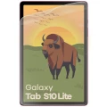 bizon-glass-tab-film-sun-1f-samsung-galaxy-tab-s10-lite-03.webp