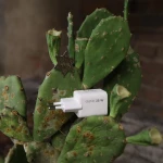 bizon-charger-25w-usb-c-usb-a-12.webp