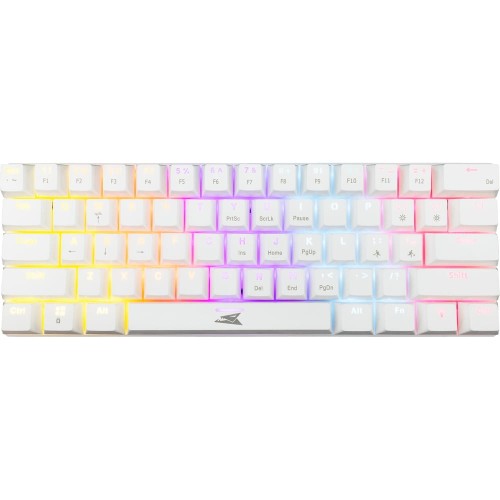 DOLPHIN WHITE RED.SW (1).jpg