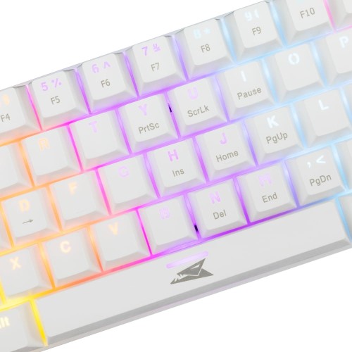 DOLPHIN WHITE RED.SW (4).jpg
