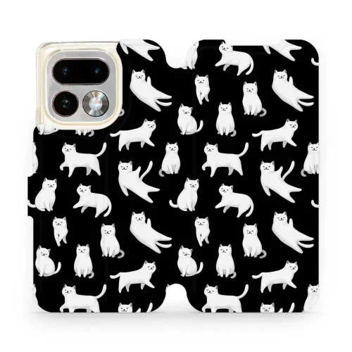 443c3080dcf4934ad9aaf65a2c7c76e9