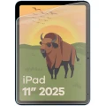 bizon-glass-tab-film-sun-apple-ipad-11-2025-03.webp