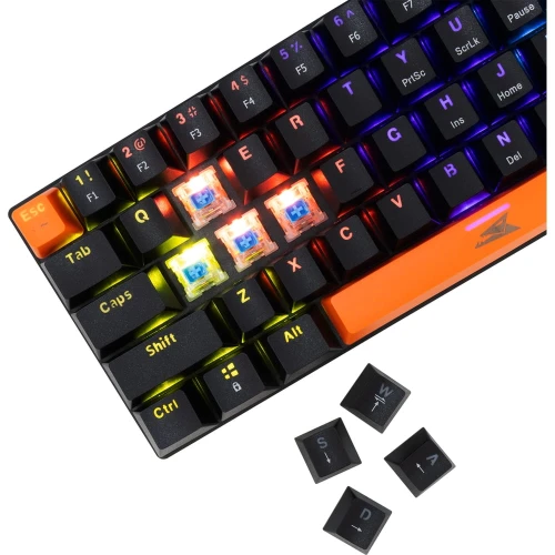 DOLPHIN BLACK BLUE.SW (8).jpg