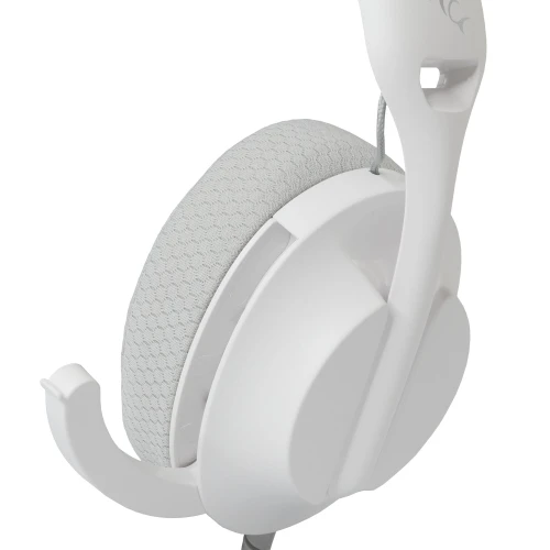 PARROT WHITE (5).jpg