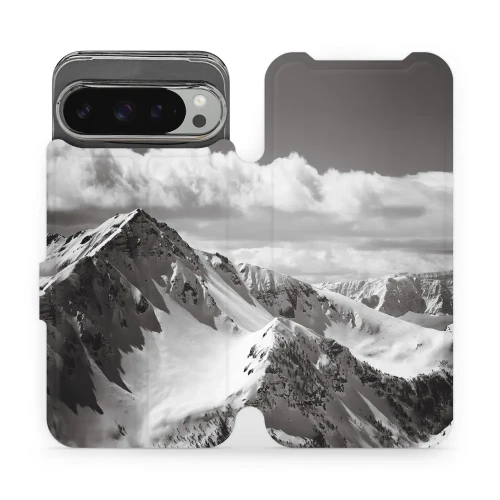 Etui z klapką do Google Pixel 9 Pro XL, Mobiwear Book, górski szczyt