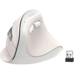 Ergonomiczna mysz bezprzewodowa, optyczna Ugreen MU008mini, Bluetooth 5.0, 2.4 GHz USB, biała
