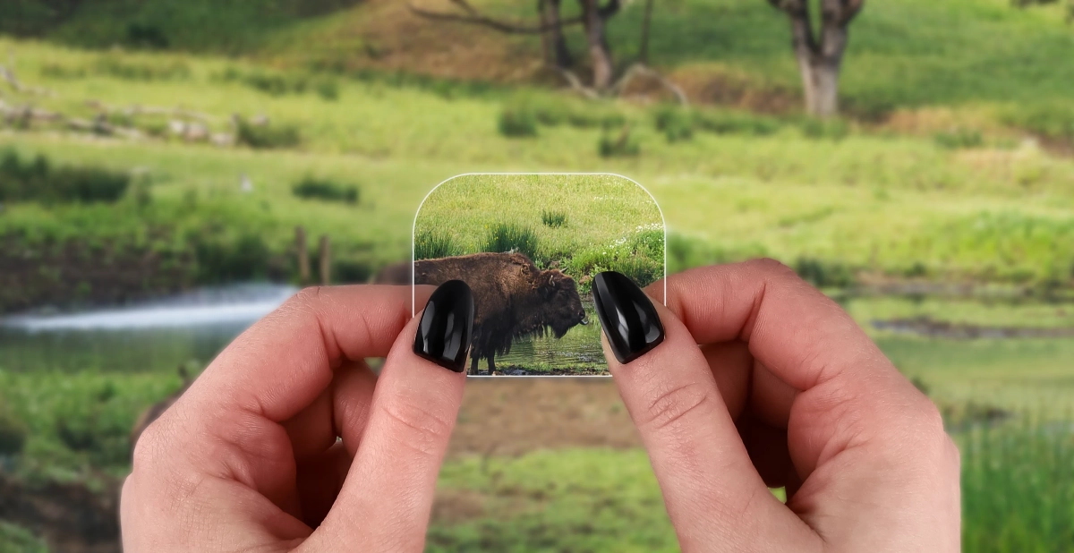 Przejrzystość folii hydrożelowej Bizon Watch Film HydroFlex